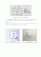 가스센서 3페이지