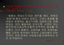 스팽글 작가 노상균에 대하여, 24페이지