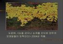 스팽글 작가 노상균에 대하여, 25페이지