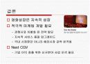 cgv의 마케팅 전략분석 11페이지