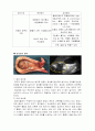 담낭염의 원인과 증상 및 치료 간호과정 2페이지