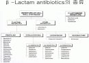 항생제 완벽 정리 (antibiotics) 3페이지