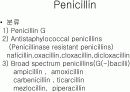 항생제 완벽 정리 (antibiotics) 5페이지