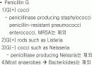 항생제 완벽 정리 (antibiotics) 6페이지