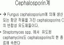 항생제 완벽 정리 (antibiotics) 8페이지