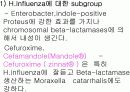 항생제 완벽 정리 (antibiotics) 13페이지