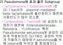 항생제 완벽 정리 (antibiotics) 18페이지