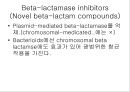항생제 완벽 정리 (antibiotics) 26페이지
