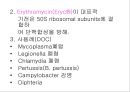 항생제 완벽 정리 (antibiotics) 34페이지