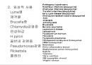 항생제 완벽 정리 (antibiotics) 45페이지
