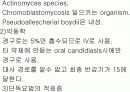 항생제 완벽 정리 (antibiotics) 50페이지