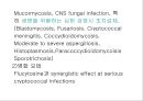 항생제 완벽 정리 (antibiotics) 51페이지
