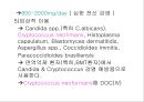 항생제 완벽 정리 (antibiotics) 56페이지