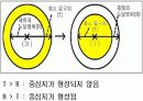 도시체계와 내부구조 7페이지