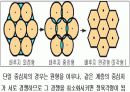 도시체계와 내부구조 11페이지