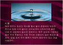 맥주의 제조공정 및 종류 8페이지