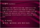 맥주의 제조공정 및 종류 18페이지