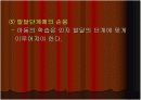 수학교육학 발표 10페이지
