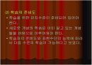 수학교육학 발표 16페이지