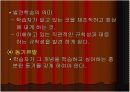 수학교육학 발표 18페이지