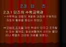 수학교육학 발표 29페이지