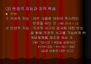 수학교육학 발표 54페이지