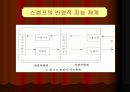 수학교육학 발표 55페이지