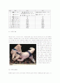 스모 A+ 완벽정리 9페이지
