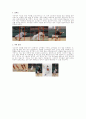 테니스 레포트 [예체능] 6페이지