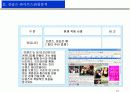 싱글즈 마케팅 전략 14페이지
