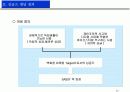 싱글즈 마케팅 전략 15페이지