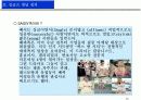 싱글즈 마케팅 전략 16페이지