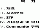 인터넷 커뮤니티 마케팅 Internet Community Marketing 2페이지