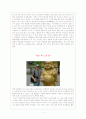 국토와 이해 6페이지
