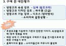 소비자 행동론 [딤채를 중심으로] 4페이지