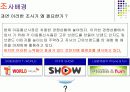 [마케팅] T-WORLD에 관한 조사 및 마케팅전략 4페이지