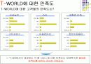 [마케팅] T-WORLD에 관한 조사 및 마케팅전략 11페이지