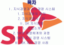 sk(주) 지식경영의 성공사례 분석 2페이지