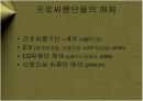 민속씨름의 몰락 - 케이스연구발표 - 스포츠마케팅 - 한국 프로 스포츠  4페이지