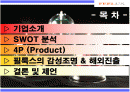 필룩스 마케팅분석 2페이지