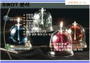 필룩스 마케팅분석 5페이지
