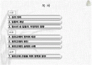 청소년 성일탈, 원조교제문제에 대해 2페이지
