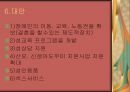 장애인의 권리, 장애인의 性 문제  24페이지