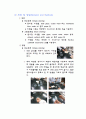미생물의 염색법, 그람염색법 2페이지
