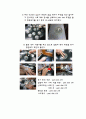 환경중의 미생물 배양 실험보고서 3페이지