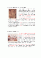 이탈리아의 식생활- 세계의식생활 4페이지