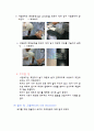 배지조제실험보고서 15페이지