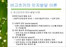 [사회과학]피아제와 비고츠키의 인지발달이론 발표자료 23페이지