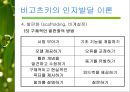 [사회과학]피아제와 비고츠키의 인지발달이론 발표자료 29페이지