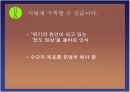 세계화 - 함께 준비하는 미래 14페이지